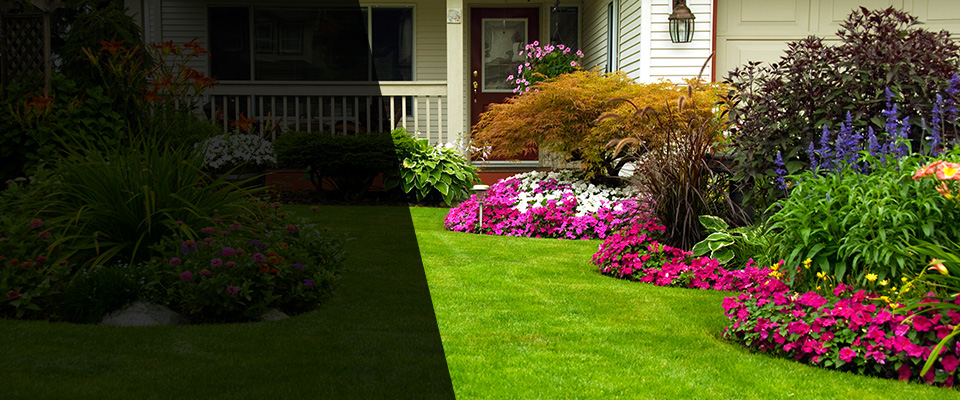 Oronoco Landscapers