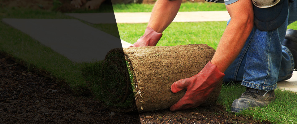 Oronoco Landscapers